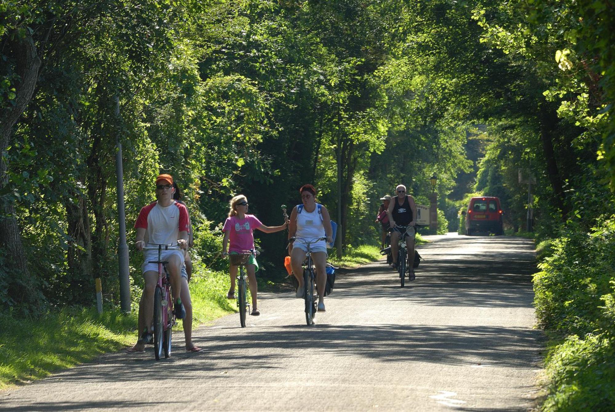 Hof Van Renesse Noordwelle エクステリア 写真